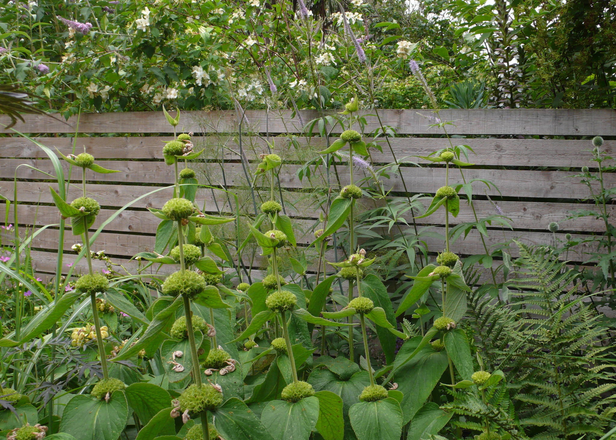 Planting boarder